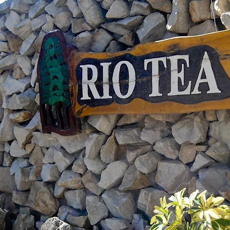 Complejo Rio Tea-2